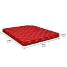 Nilkamal Value+ 4-inch Single Size Foam Mattress (Maroon, 72x36x4) | HOMEGENIC.